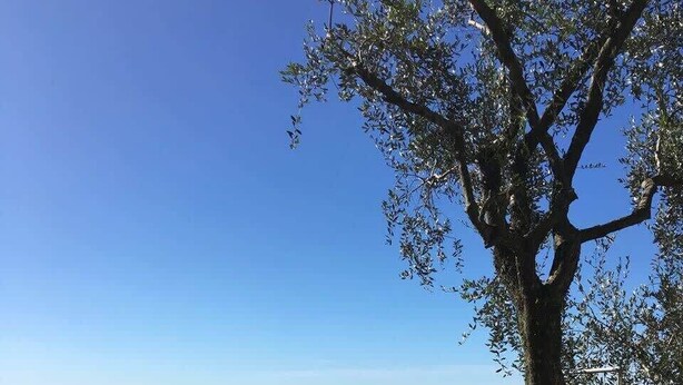 Una piscina con vista chiara su un panorama urbano e delle colline sullo sfondo.