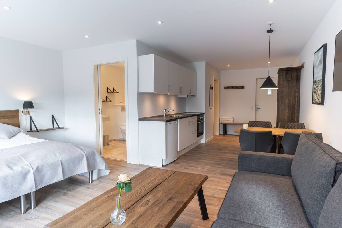 Leilighet – comfort | Eget kjøkken | Kjøleskap, ovn, kokeplater og høy barnestol