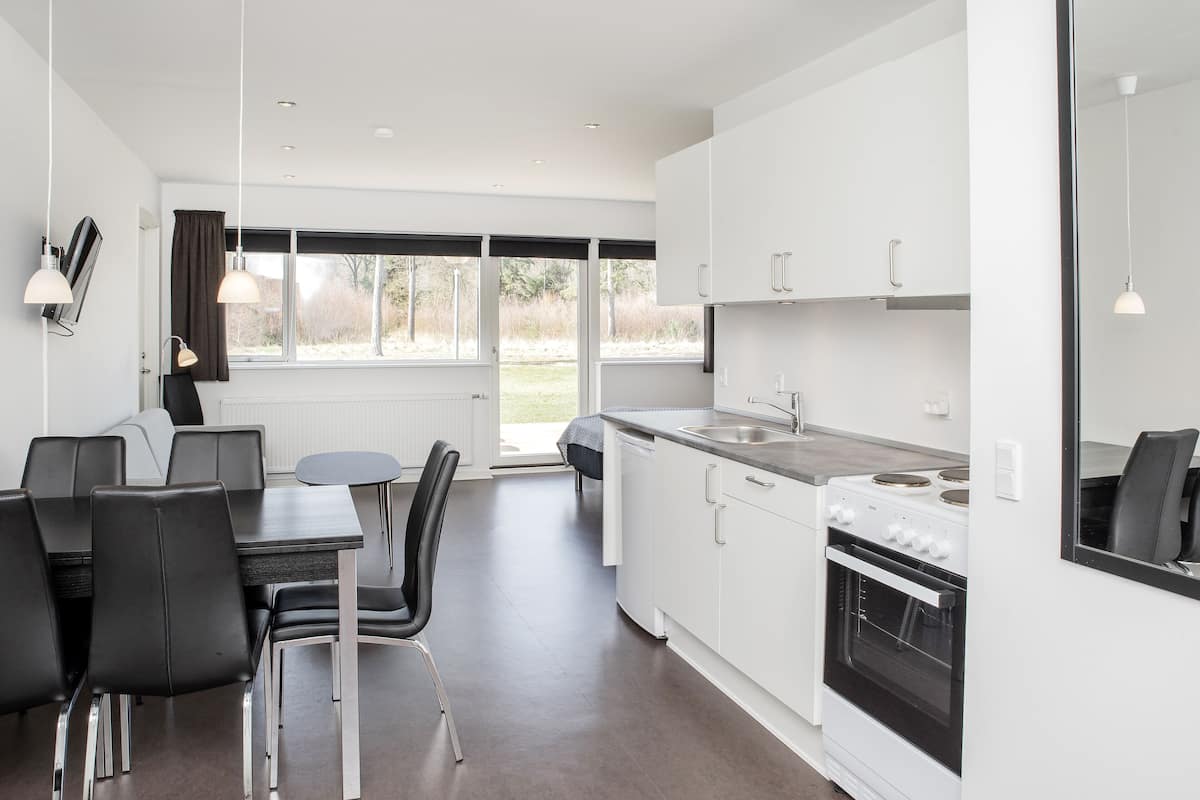 Appartamento Comfort, al piano terra | Cucina privata | Frigorifero, forno, piano cottura, seggiolone