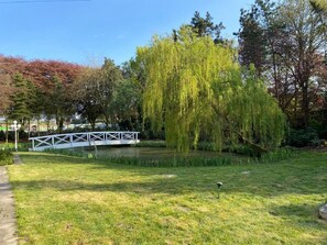 Stroll across the serene bridge and enjoy the tranquil atmosphere beneath the weeping willow tree.