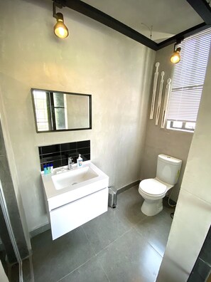 Bathroom features a white sink, mirror, and toilet in a minimalist design.