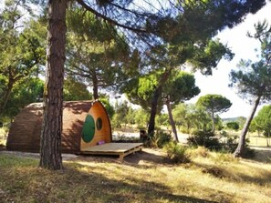 Enceinte de l’hébergement