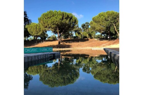 Wonderland Yurt - Quinta Alada