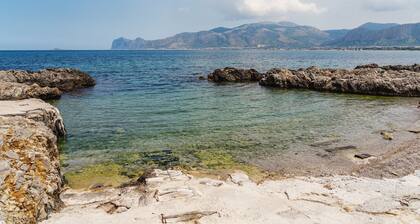 Airport Sicily Home Palermo