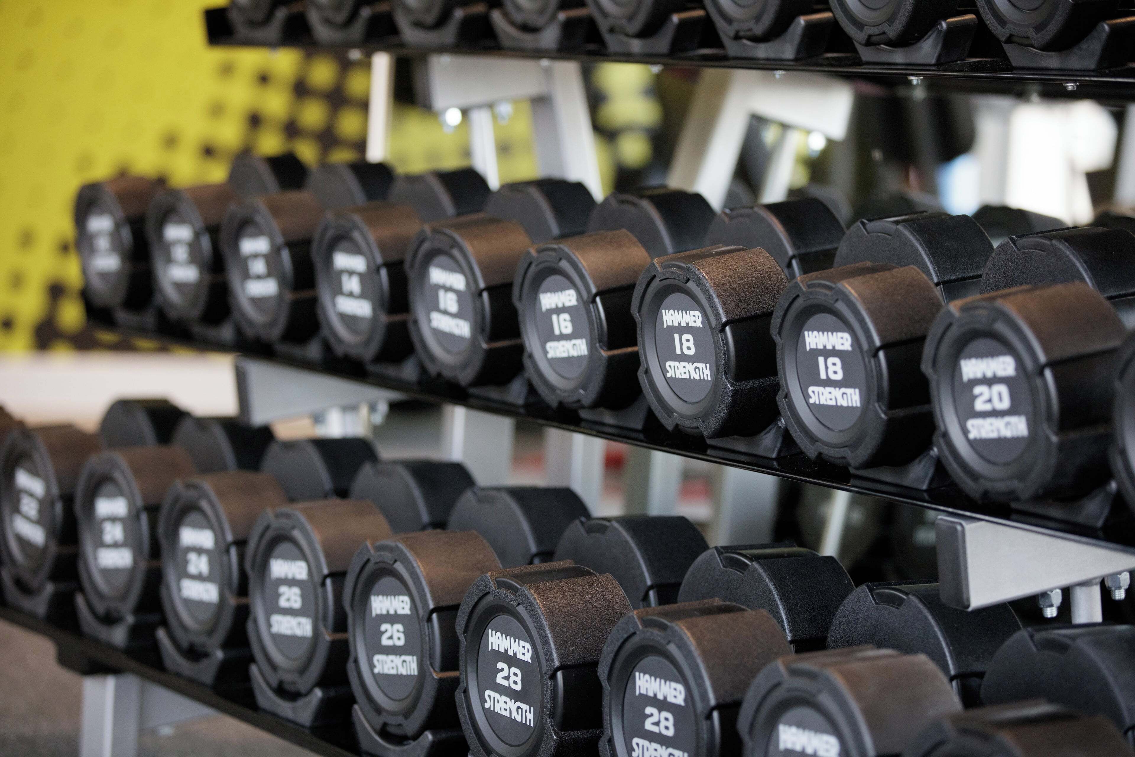 A rack of dumbbells with labels indicating weight increments.
