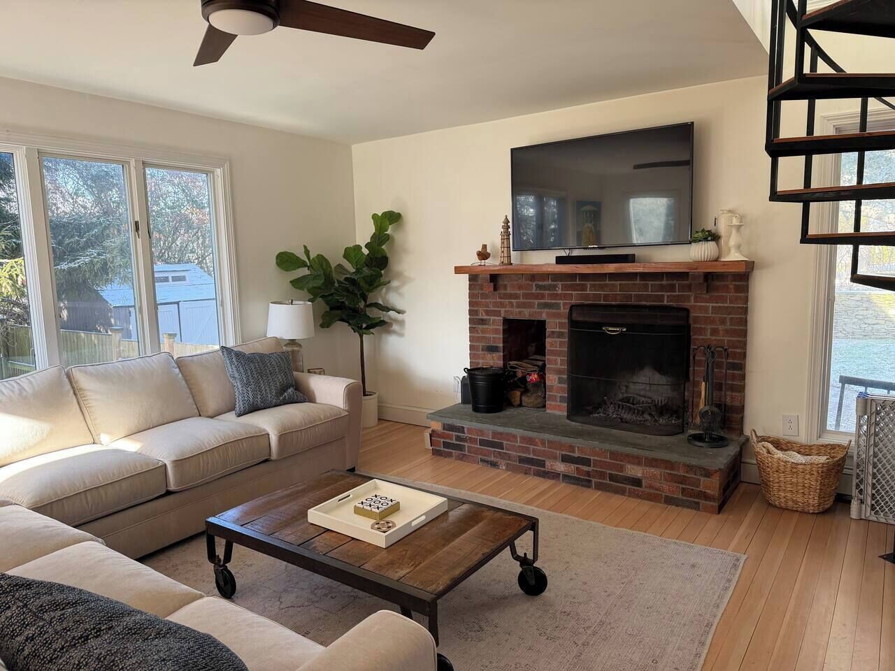 Smart TV, fireplace, books