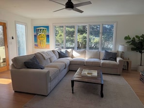 Smart TV, fireplace, books