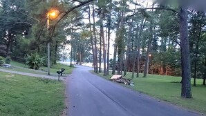 A residential street with houses, a driveway, and a grassy area. - Cozy lakeview home (Guntersville)