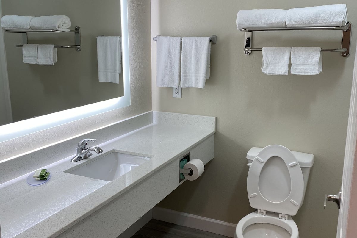 combined shower/bathtub, free toiletries, hair dryer, towels