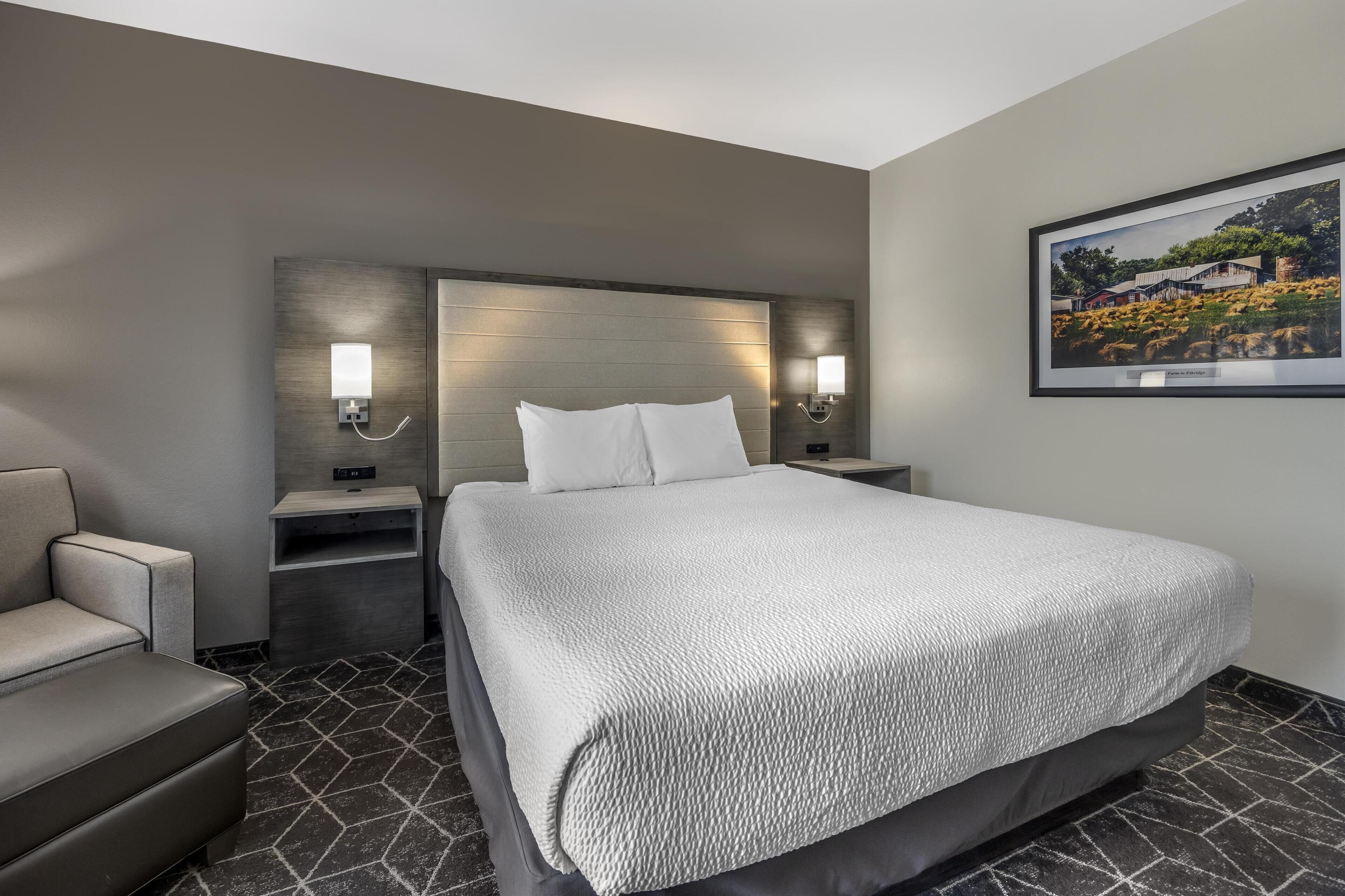 Une chambre d’hôtel avec un grand lit, deux tables de chevet avec des lampes, un canapé et un tableau encadré au mur.