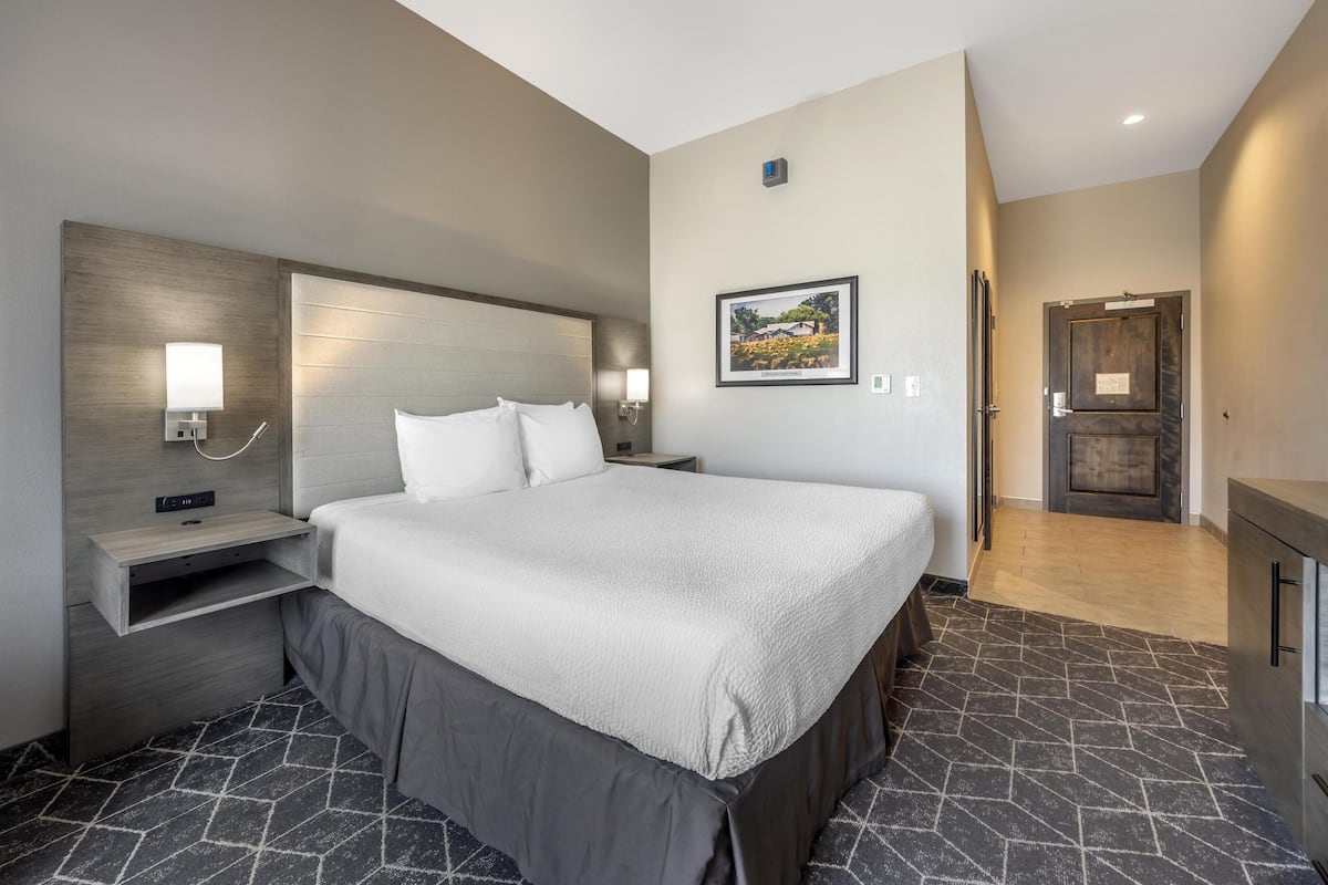 A modern hotel room with a large bed, a bedside table, a wall-mounted lamp, and a framed picture on the wall.