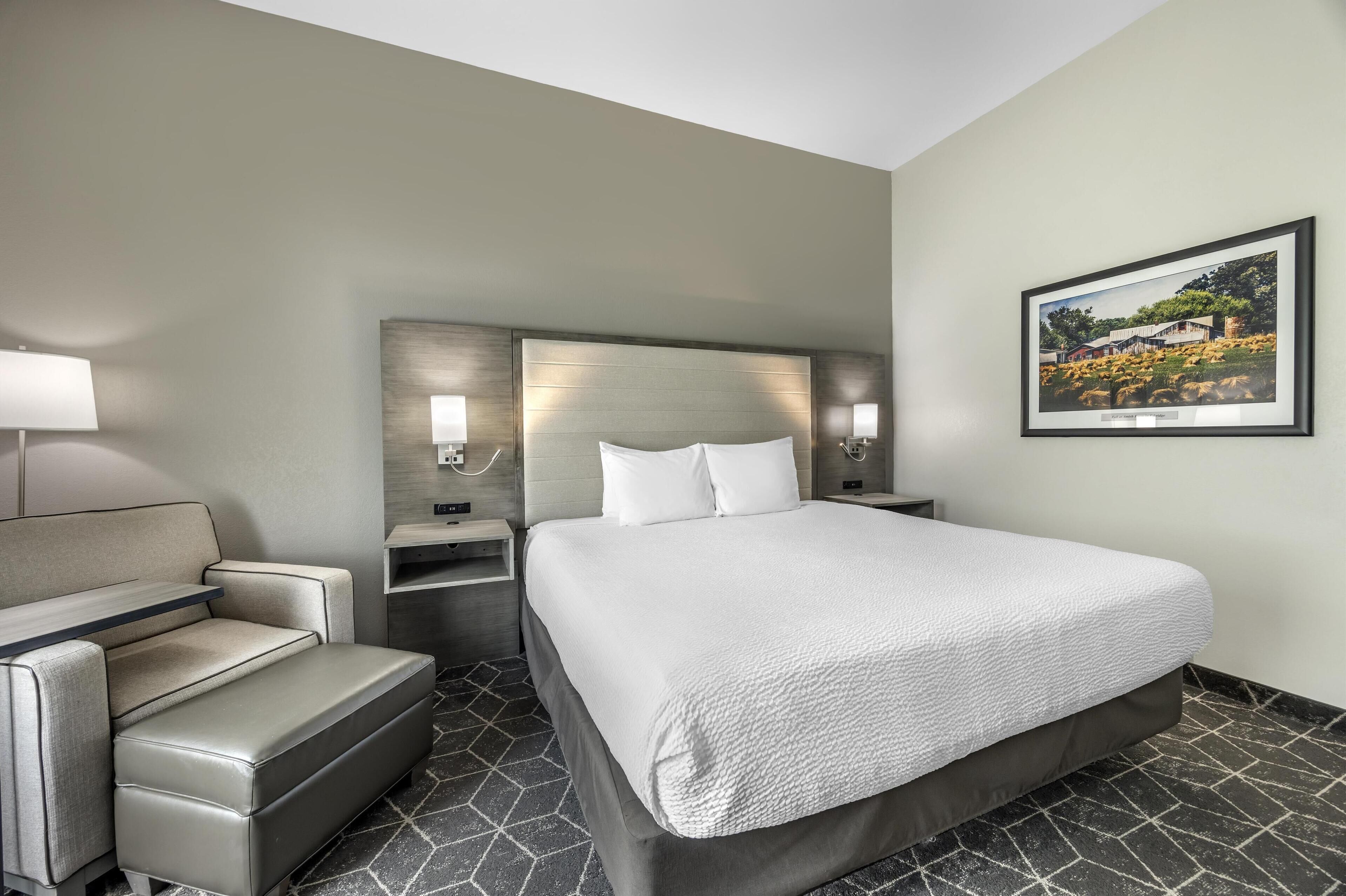 A hotel room with a bed, a sofa, a nightstand, and a wall-mounted picture.