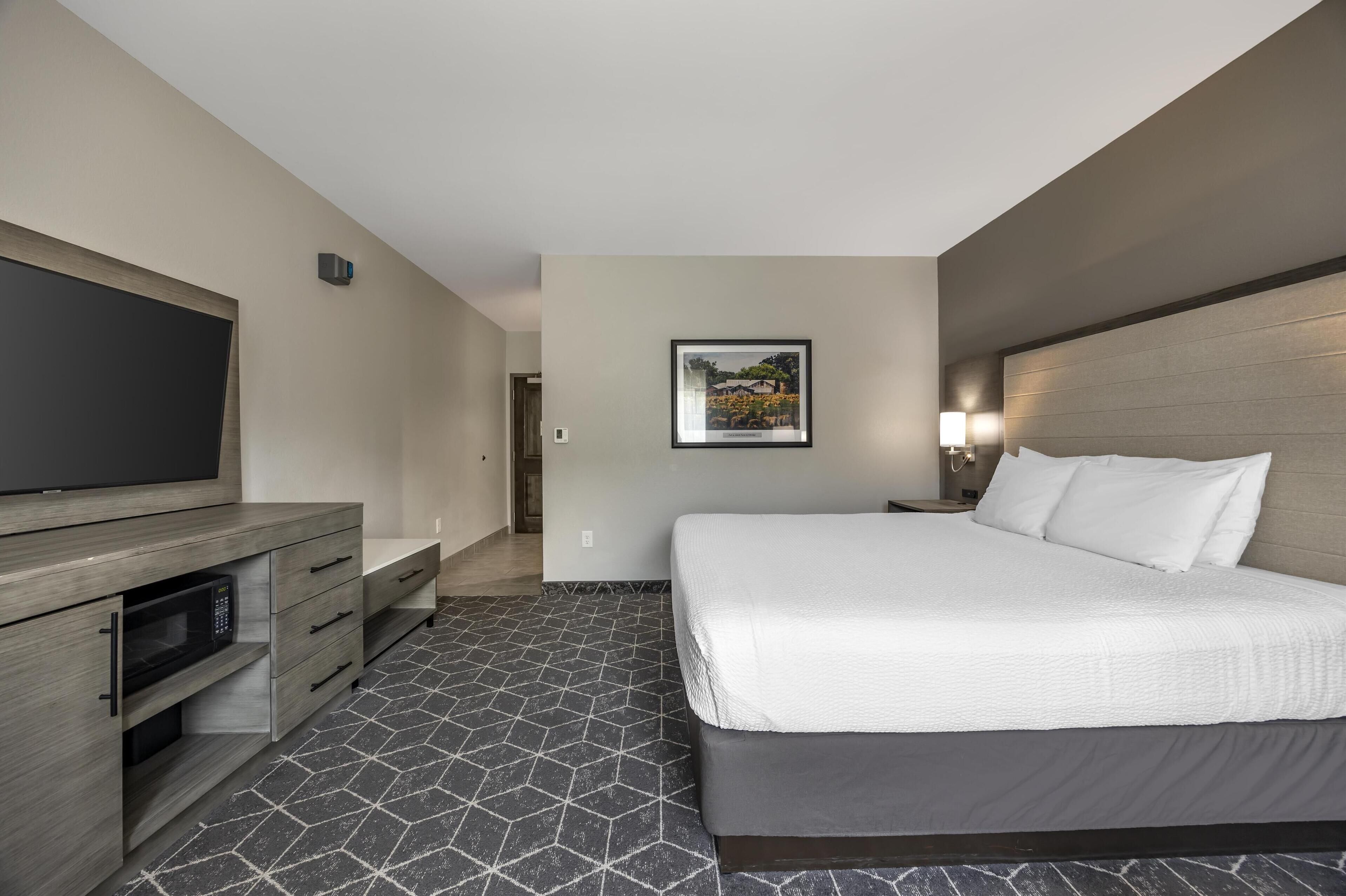 A modern hotel room with a large bed, a flat-screen TV, a microwave, and a picture on the wall.