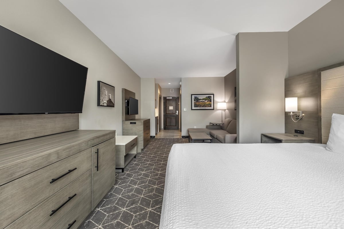Suite, 1 King Bed, Non Smoking, Refrigerator & Microwave (with Single Sofabed)