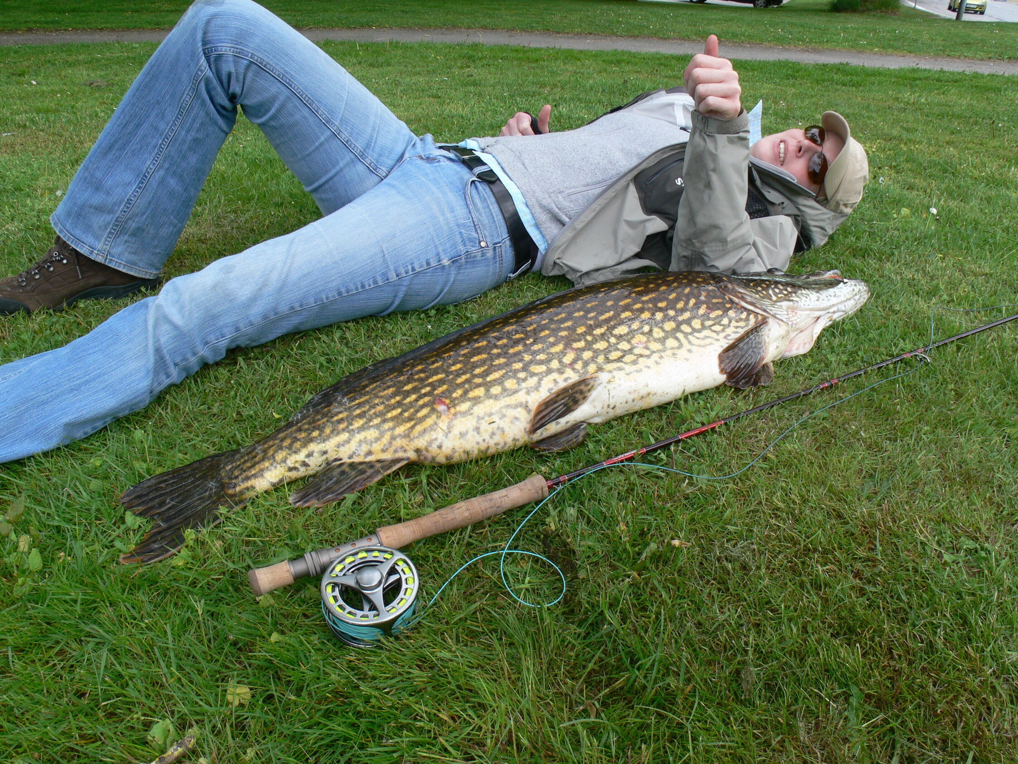 En person ligger på gräset med en stor fisk och ett fiskespö.