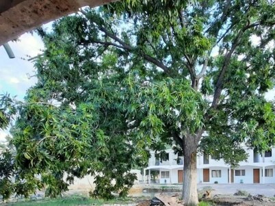 Hotel America by Rotamundos