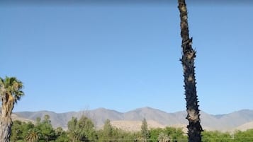 Habitación doble estándar | Vista desde la habitación