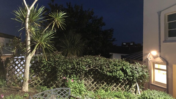 A nighttime view of a residential area with a well-maintained hedge, a palm tree, and a house with a lit window. - Harbour Lodge B&B (Paignton)