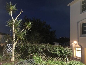 Ein Nachtbild einer Wohngegend mit einer gepflegten Hecke, einer Palme und einem Haus mit einem beleuchteten Fenster.