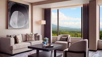 55-英寸液晶电视 (配备卫星频道)、电视