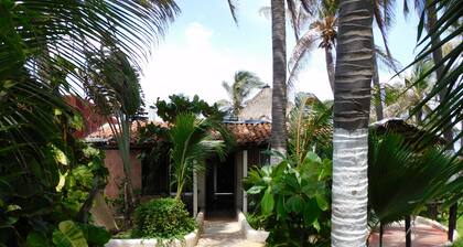 Hotel Temazcal Spa Coquis By Rotamundos