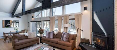 TV, fireplace, books