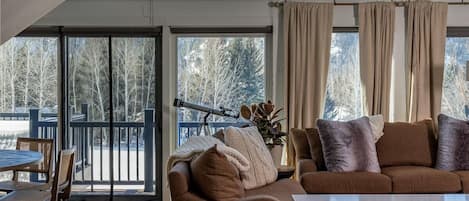 TV, fireplace, books