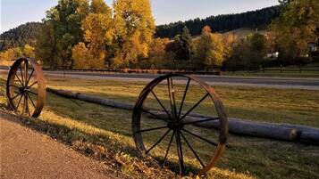 Vista desde la habitación
