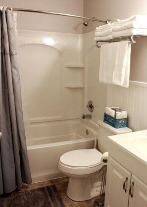 House (Spacious, homey 2-bedroom in Chattano) | Bathroom