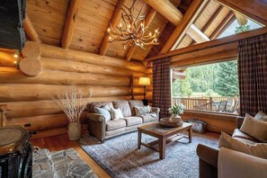 TV, fireplace, DVD player, books