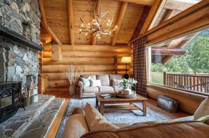 TV, fireplace, DVD player, books
