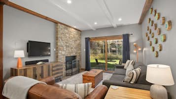 Télévision, cheminée, lecteur de DVD, table de tennis de table