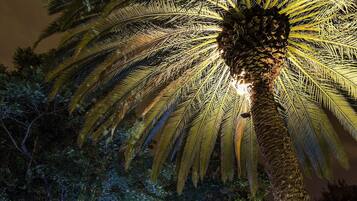 Hồ bơi ngoài trời, mở cửa từ 10:00 đến 18:00, ghế dài tắm nắng