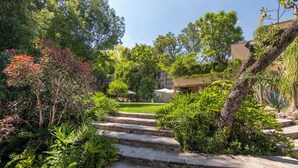 Una escalera de piedra que sube hacia un jardín con plantas variadas y césped.
