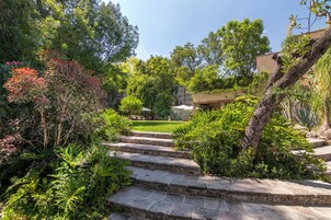 Una escalera de piedra que sube hacia un jardín con plantas variadas y césped.