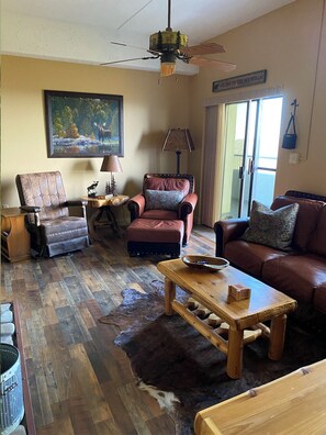 Smart TV, fireplace, DVD player, books