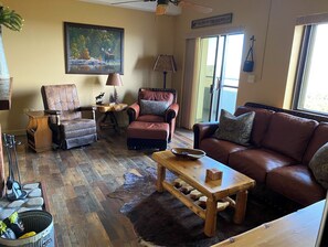 TV connectée, cheminée, lecteur de DVD, livres