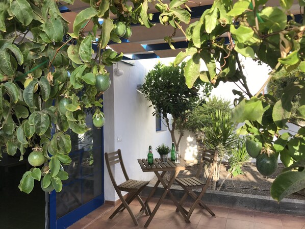 A patio with a table and chairs, surrounded by green plants and a white wall.