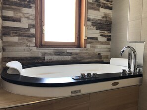 Combined shower/bathtub, jetted bath, hair dryer, bidet