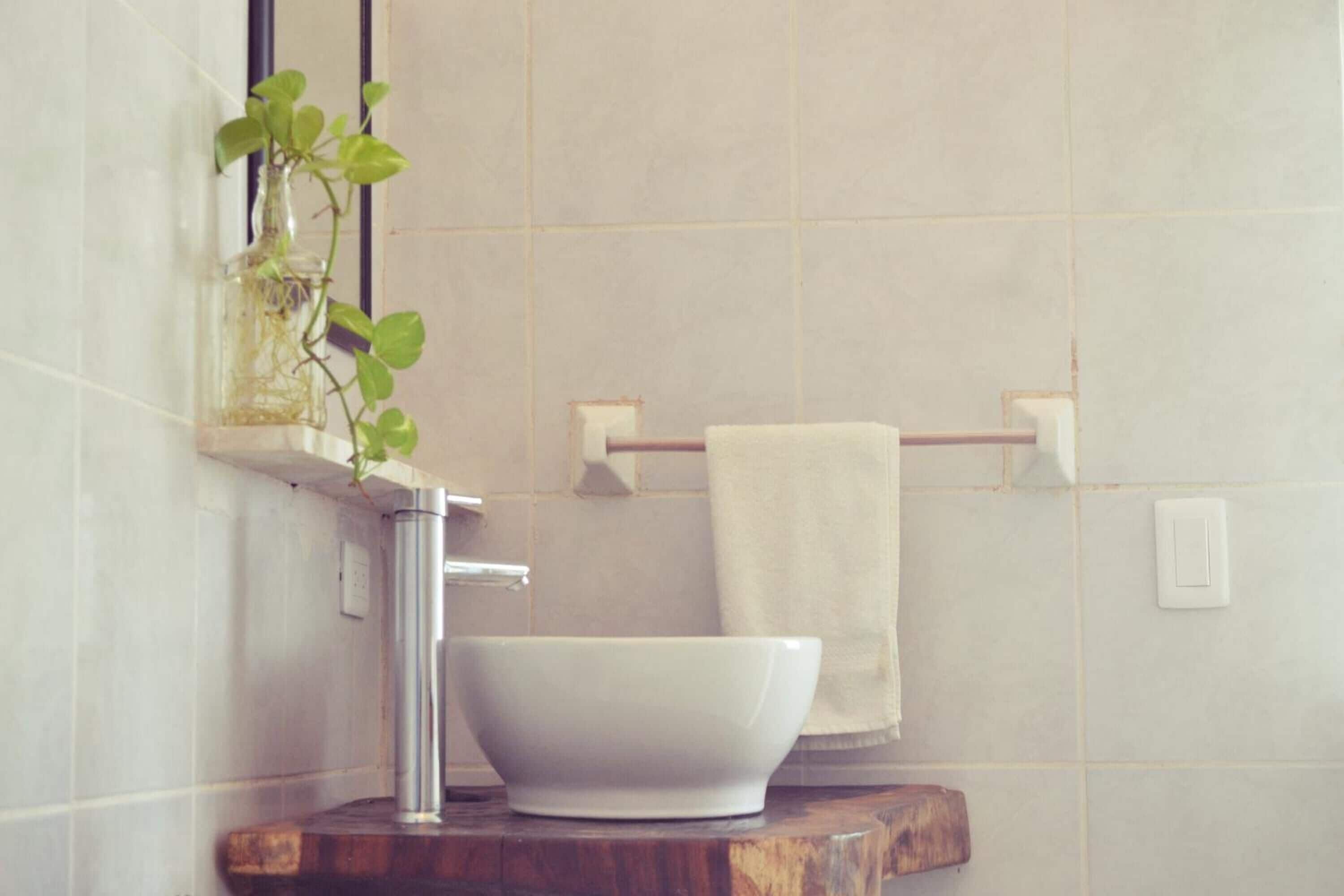 Un baño con un lavamanos blanco, un espejo y una planta en un florero de vidrio.