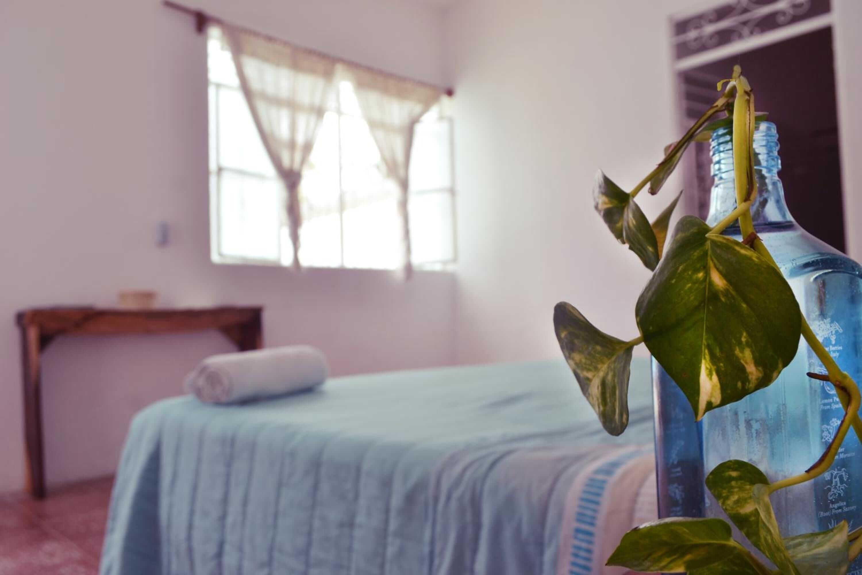 A room with a bed, a window with sheer curtains, and a potted plant.