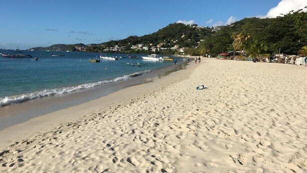 A sandy beach with boats in the water and a hill with buildings in the background. - Ocean View (St, George)