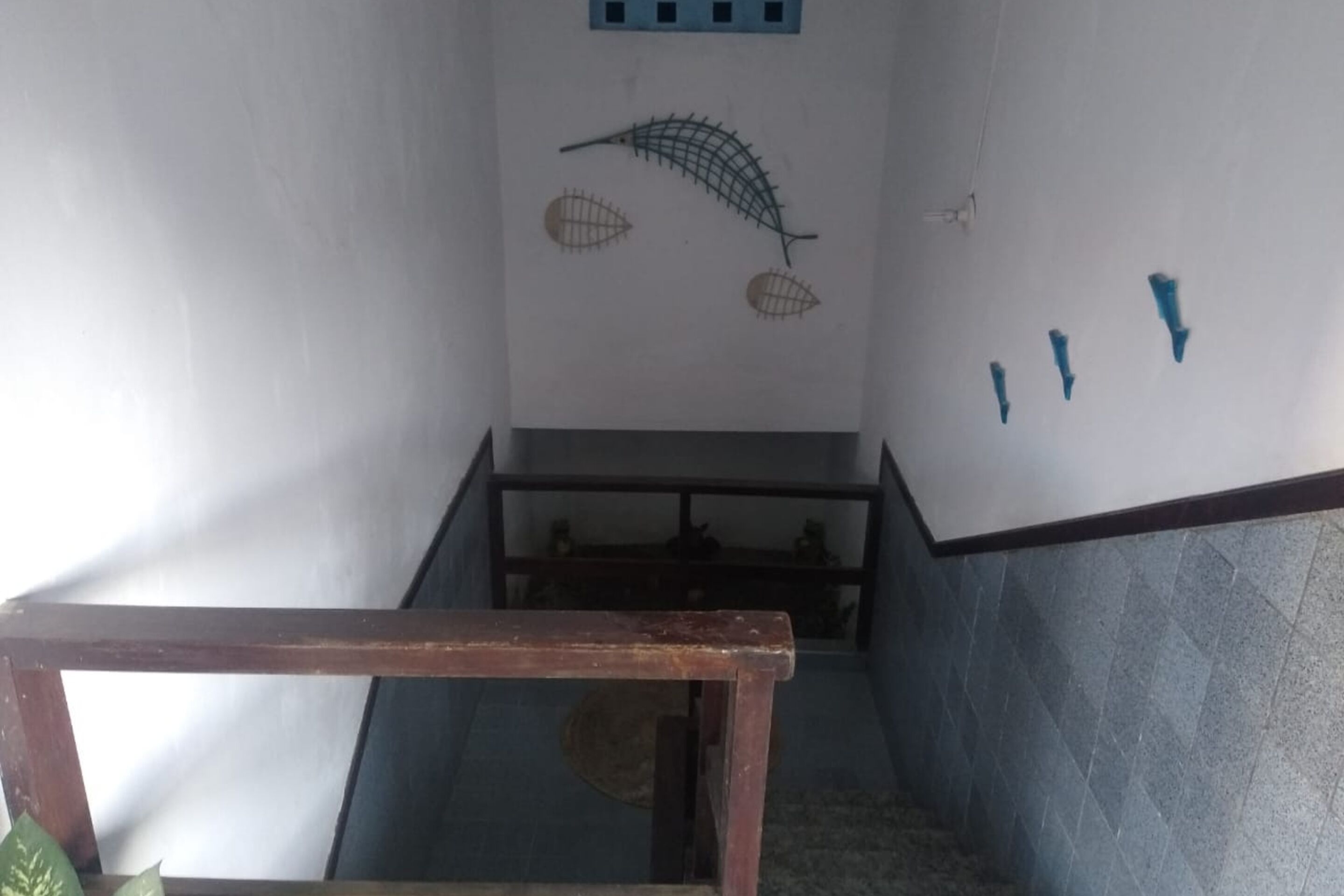 Photo - pousada terra praia