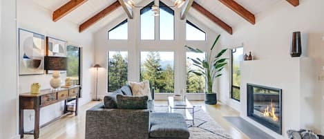 Fernseher, Kamin, Bücher, Stereoanlage