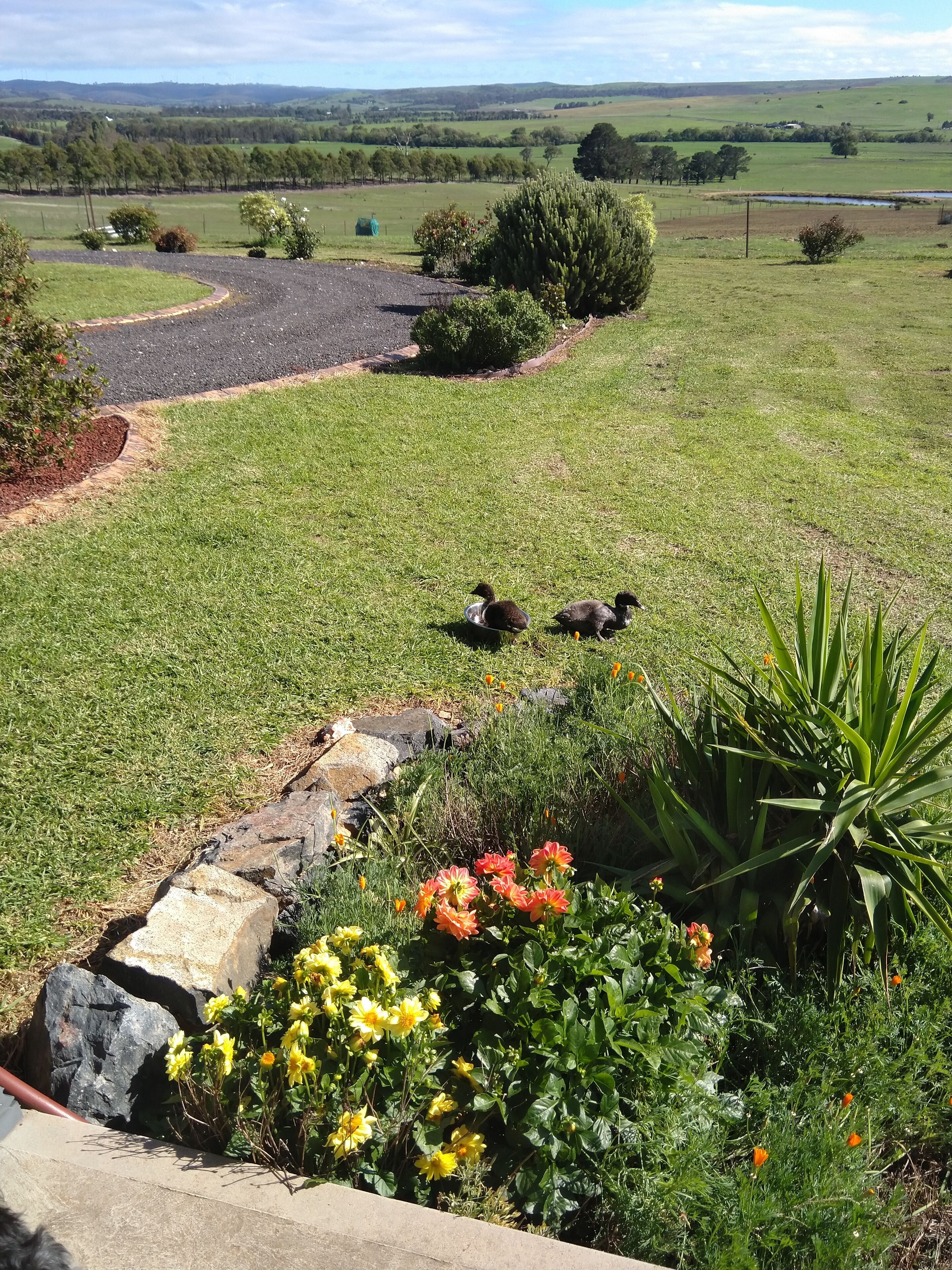 Áreas de la propiedad