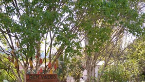 A sign reading "BEM VINIDOS ESTACIONE AQUS" in a garden with a bicycle. - 2 bedroom house near UNESP (Botucatu)