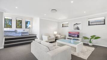 Télévision, cheminée, lecteur de DVD