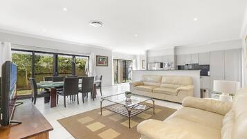 Télévision, cheminée, lecteur de DVD