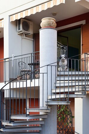 Détail de l’extérieur