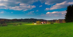 Niet-geclassificeerde afbeelding, 5 van 18, knop